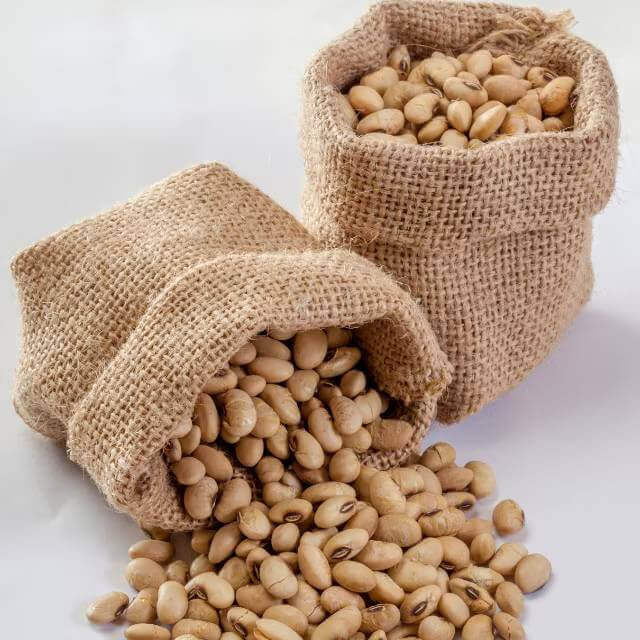 Soyabean